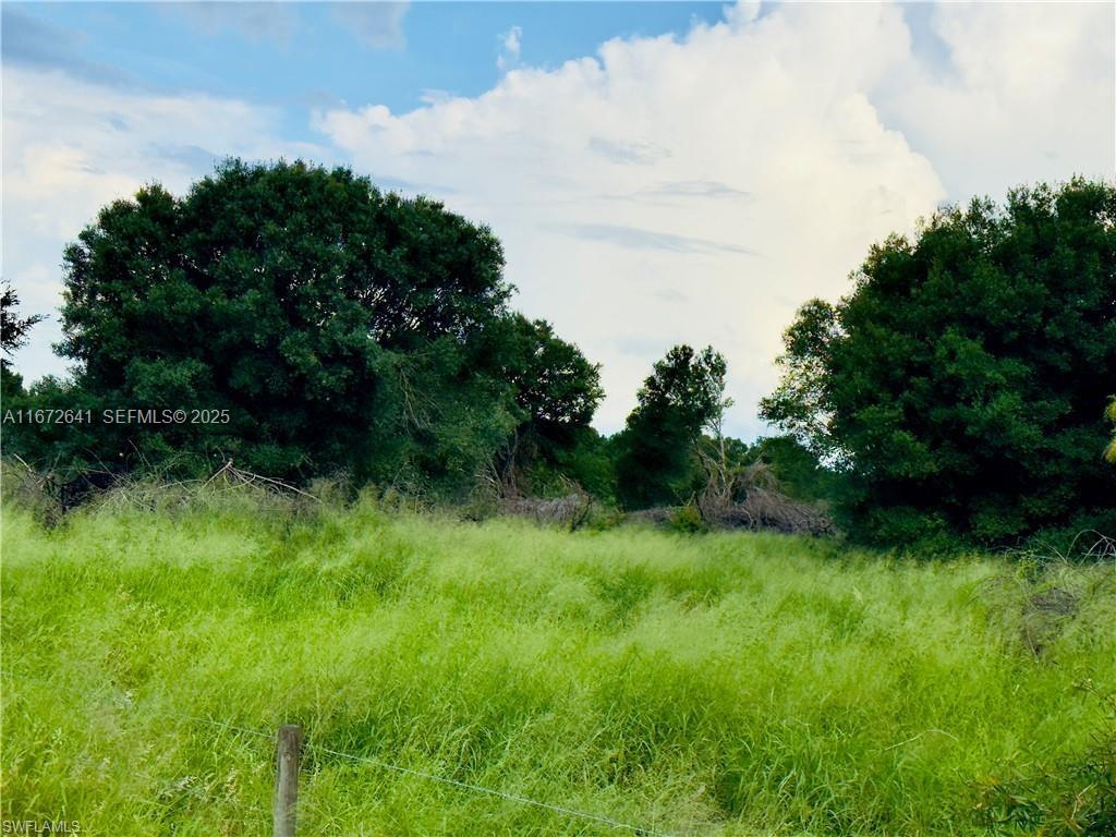 0 2nd Road LaBelle, FL 33935 - Photo 5 of 7 a view of a lush green space