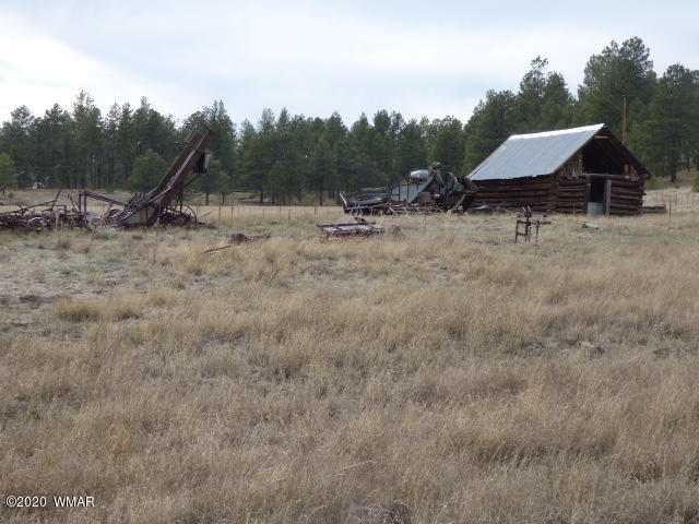 Lot 26 The Ranch Alpine, AZ 85920 - Photo 2 of 26