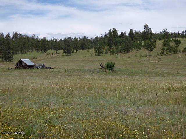 Lot 26 The Ranch Alpine, AZ 85920 - Photo 3 of 26