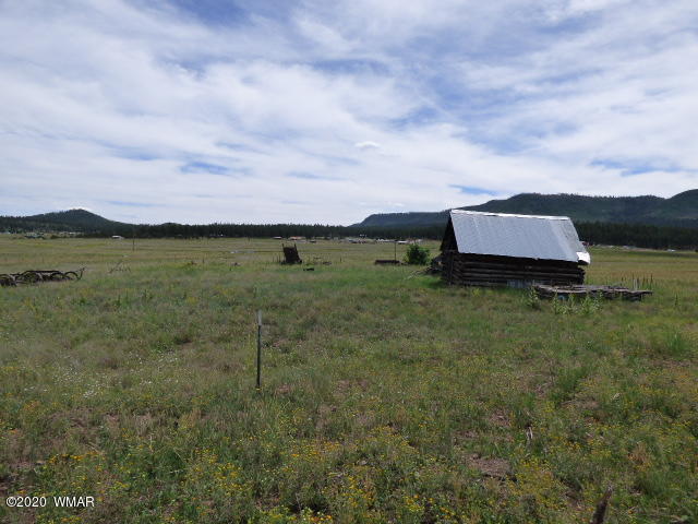 Lot 26 The Ranch Alpine, AZ 85920 - Photo 4 of 26