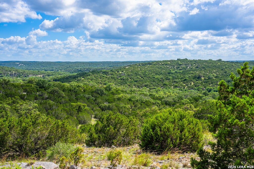 11797 Hackberry Road Rocksprings, TX 78880 - Photo 26 of 35 Gallery Image 26