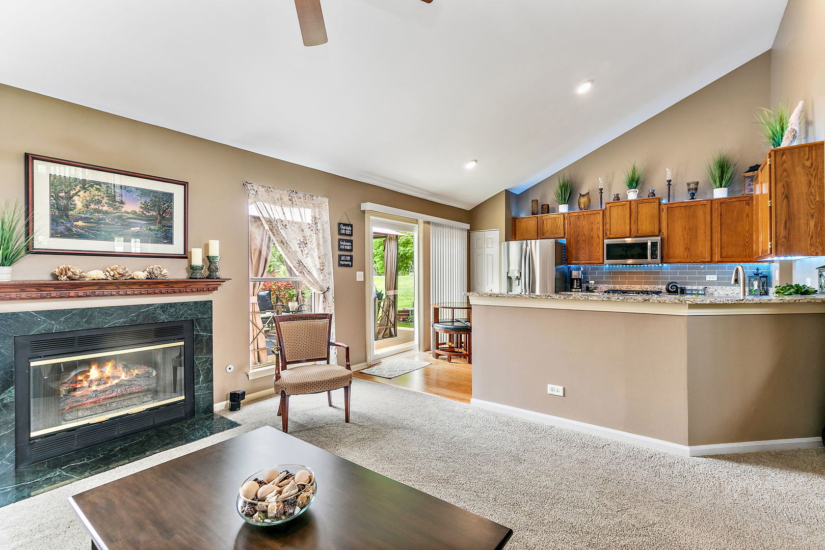 204 Dickens Trail Elgin, IL 60120 - Photo 7 of 39