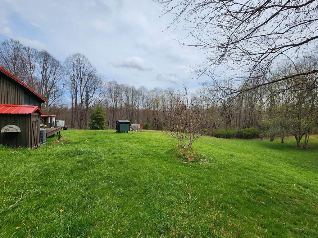 6116 Franks Road Coeburn, VA 24230 - Photo 3 of 30 Gallery Image 3