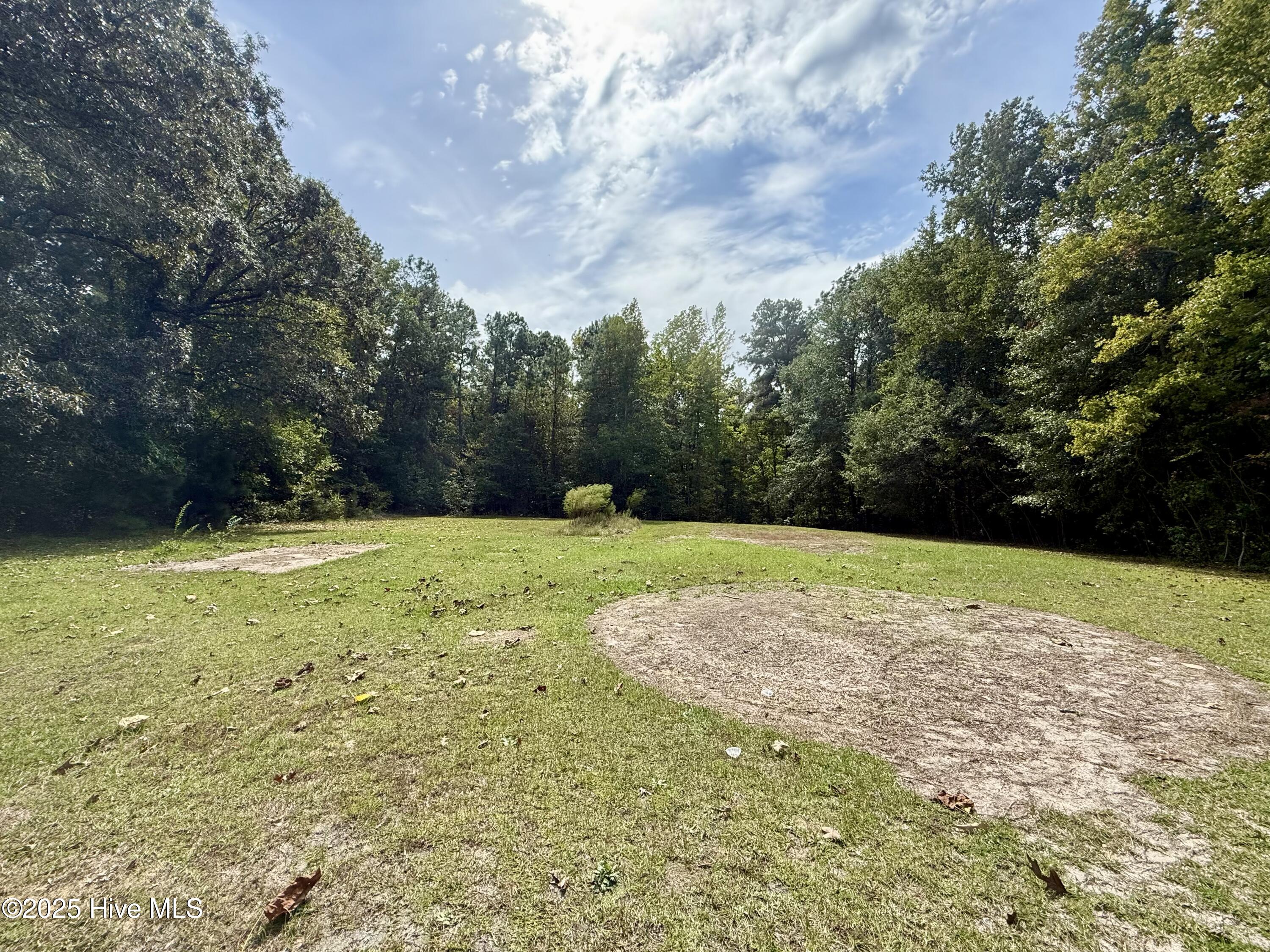 1233 Bear Grass Road Williamston, NC 27892 - Photo 11 of 61 Large Back yard