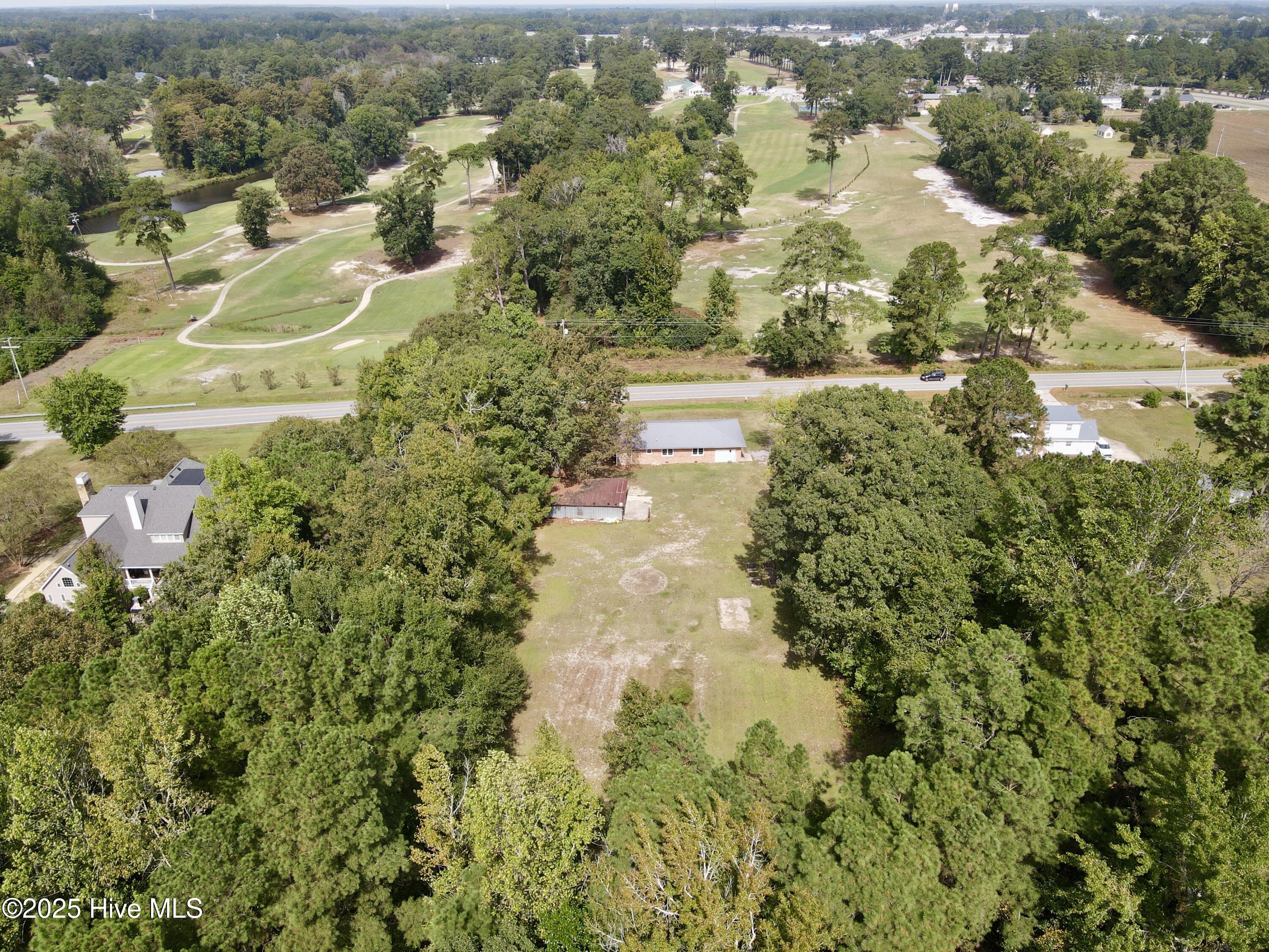 1233 Bear Grass Road Williamston, NC 27892 - Photo 14 of 61 Golf course view