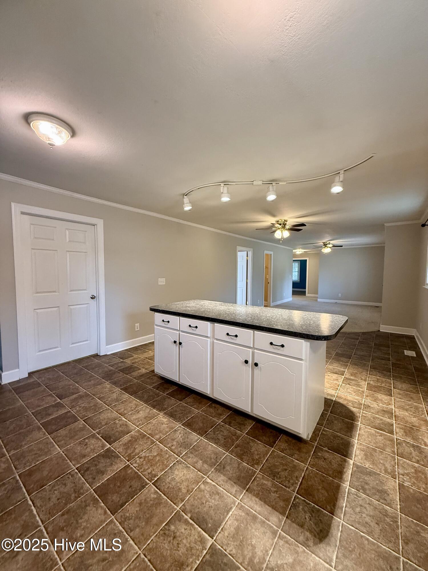 1233 Bear Grass Road Williamston, NC 27892 - Photo 26 of 61 Kitchen island