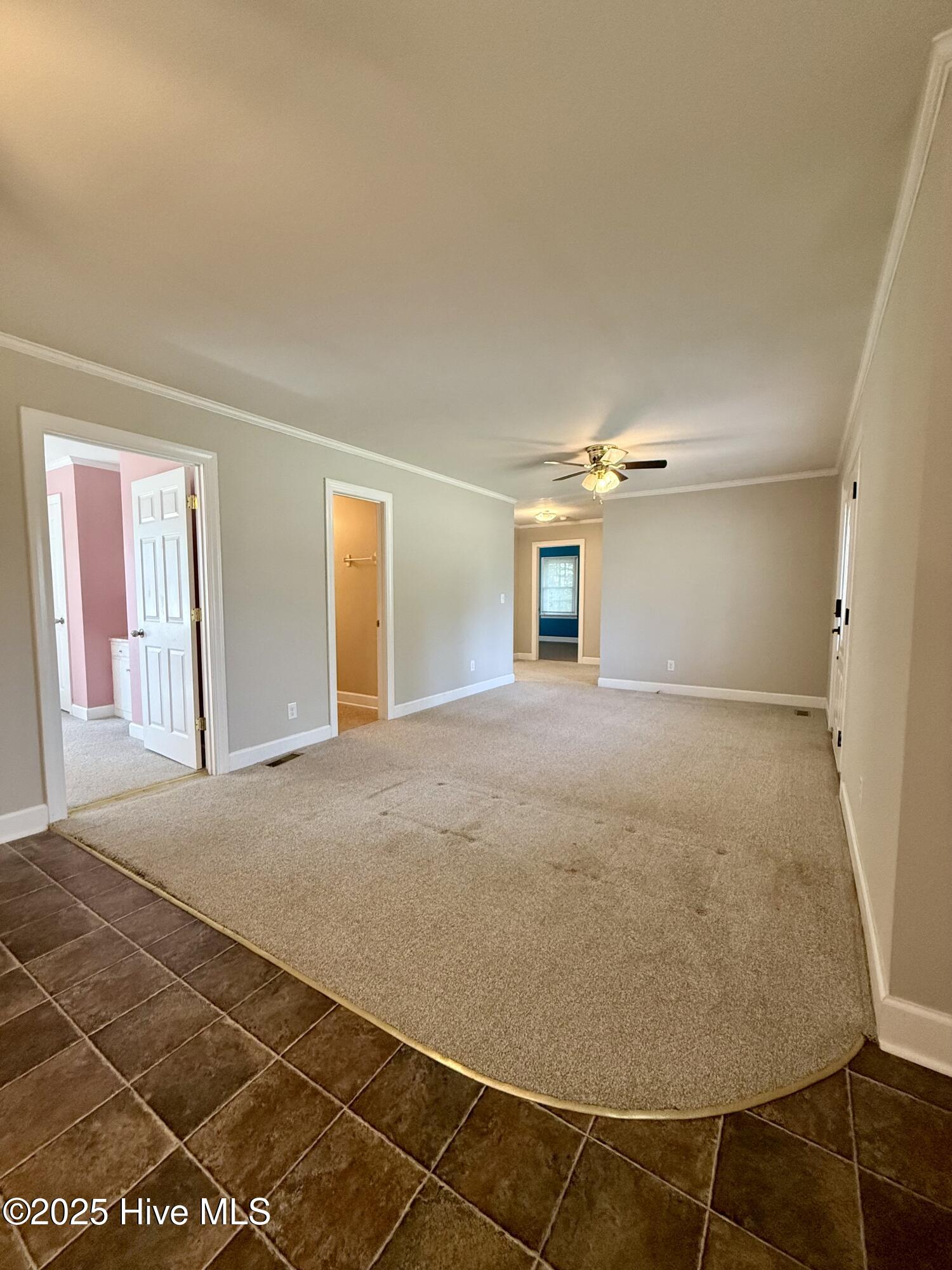 1233 Bear Grass Road Williamston, NC 27892 - Photo 37 of 61 Living room