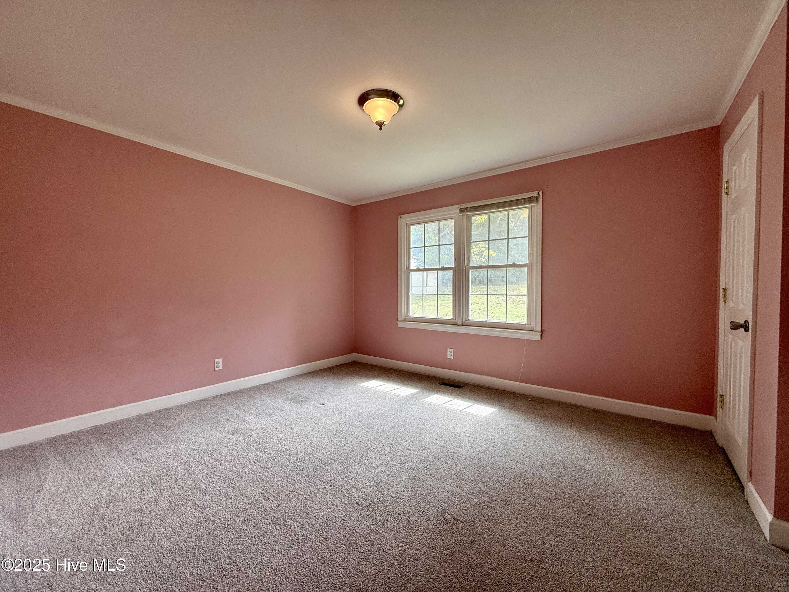 1233 Bear Grass Road Williamston, NC 27892 - Photo 40 of 61 Bedroom 1