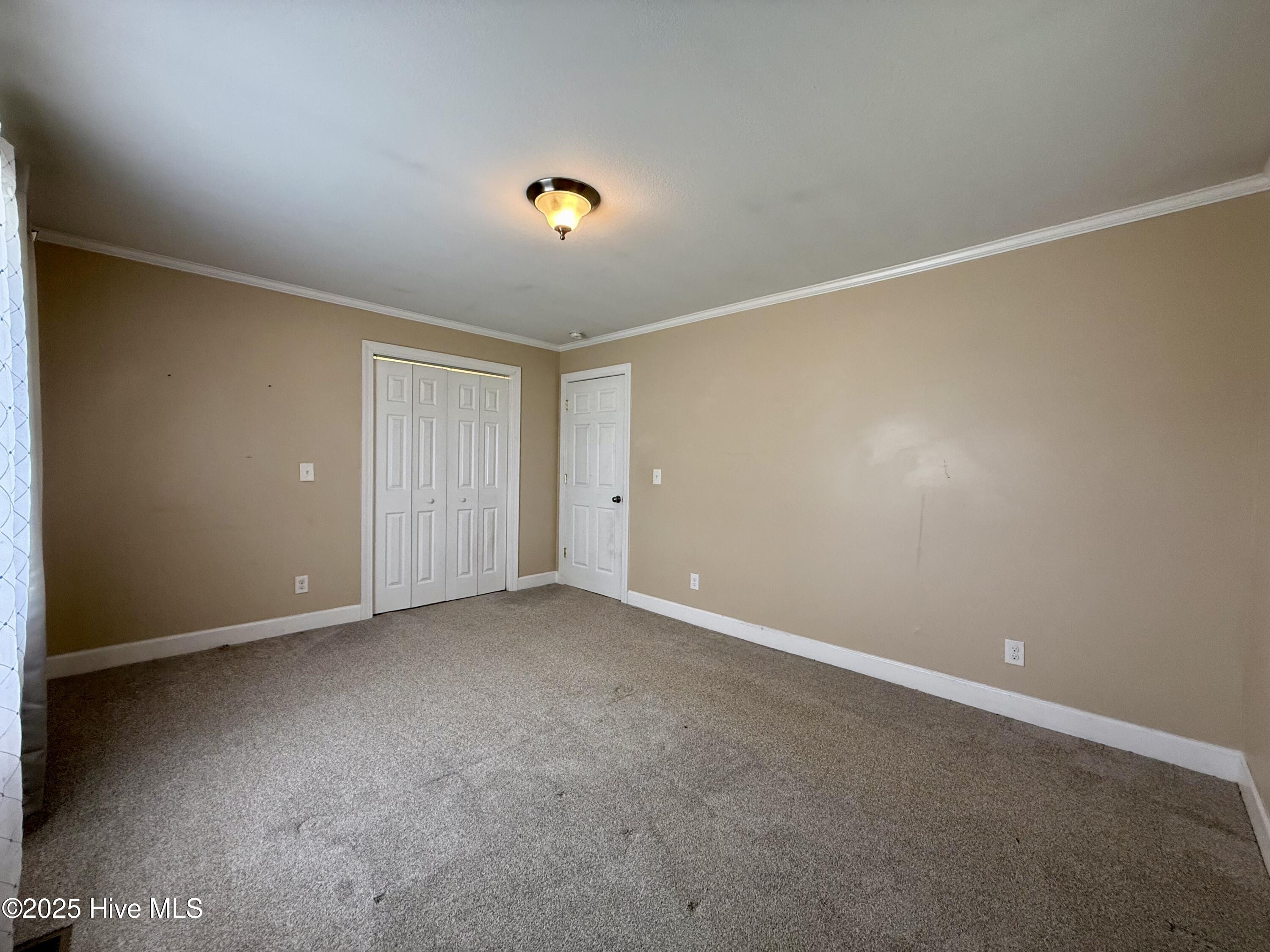 1233 Bear Grass Road Williamston, NC 27892 - Photo 54 of 61 Bedroom 3
