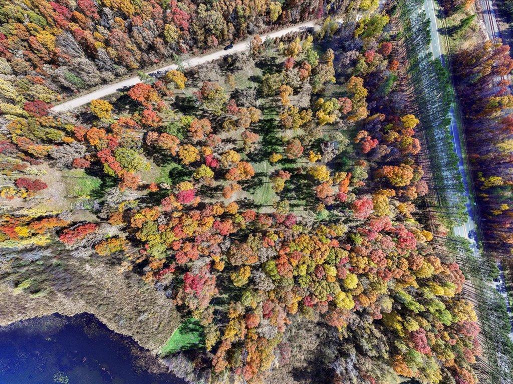 5980 Highway 210 Baxter, MN 56425 - Photo 8 of 19