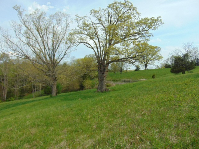 Cull Road Worthville, KY 41098 - Photo 22 of 29 Gallery Image 22