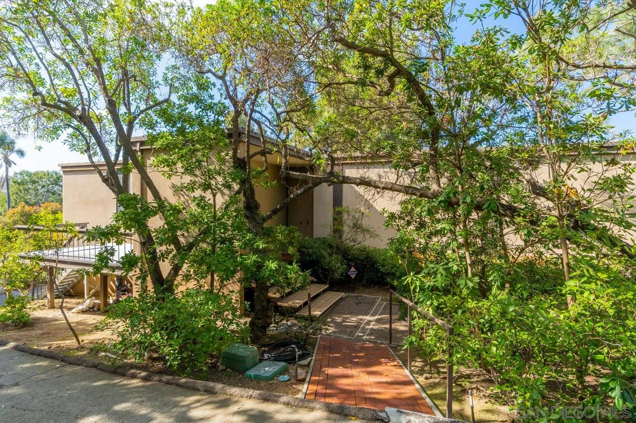 1595 Coast Walk La Jolla, CA 92037 - Photo 21 of 24 a backyard of a house with lots of green space