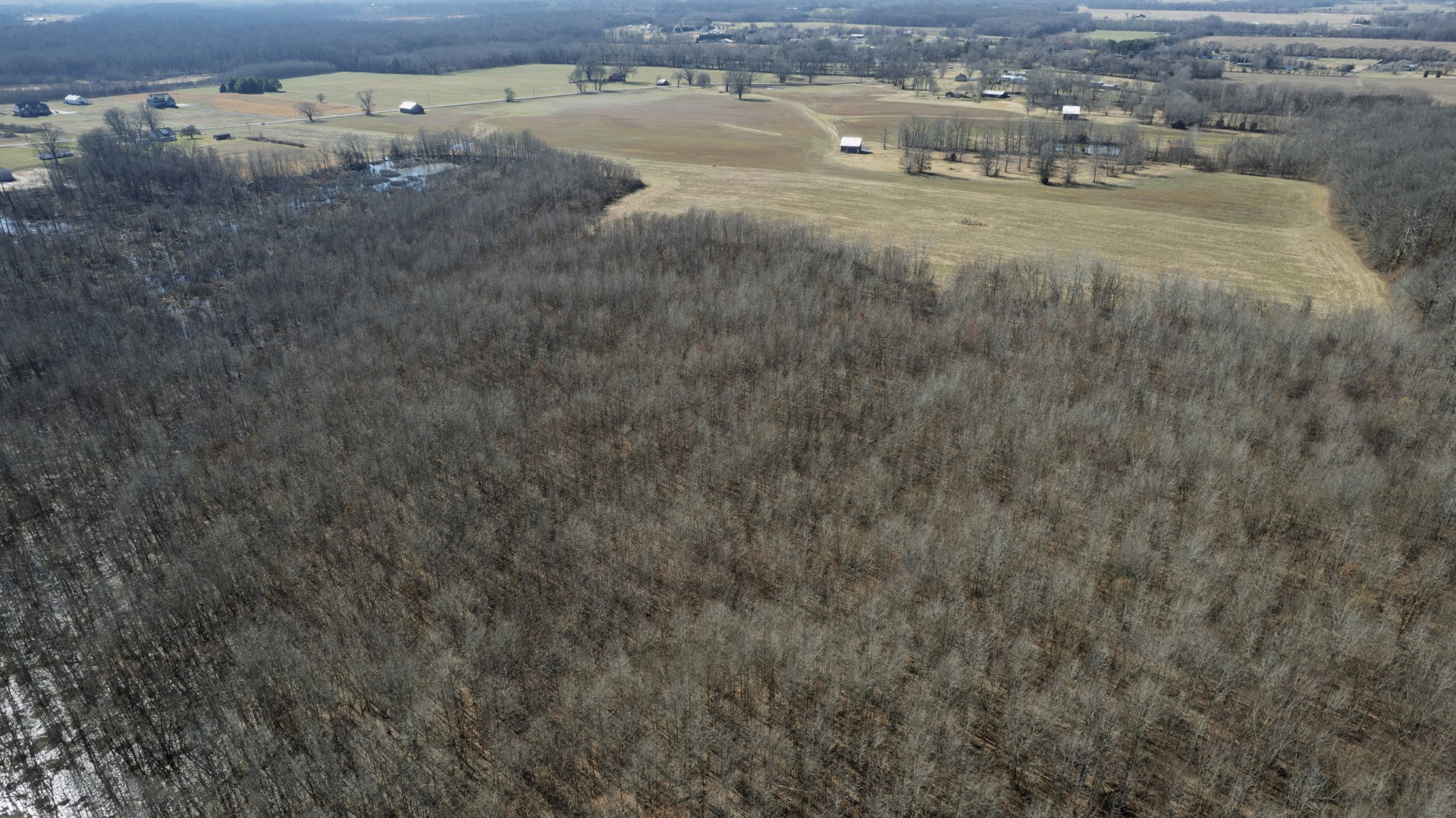 0 Lakeview Road Springfield, TN 37172 - Photo 7 of 16 a view of a dry yard with wooden fence