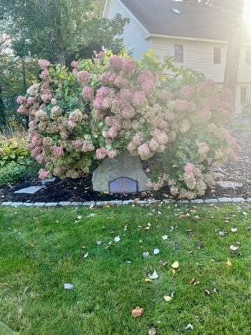 43 Darling Parke Drive Bangor, ME 04401 - Photo 105 of 110 IMG_0031