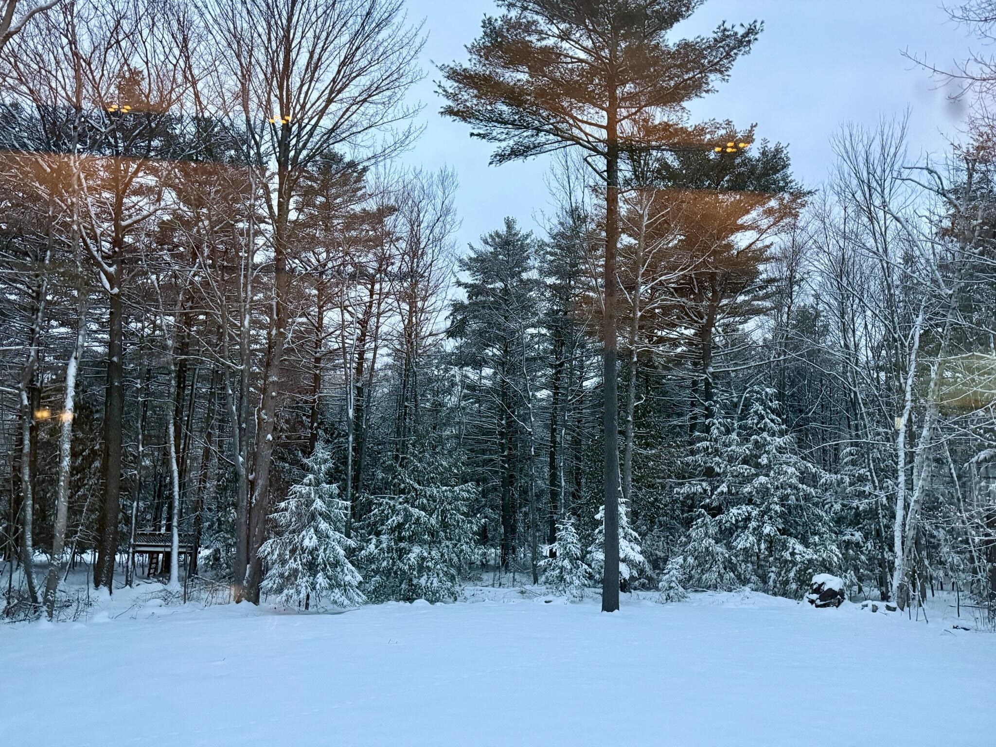43 Darling Parke Drive Bangor, ME 04401 - Photo 107 of 110 IMG_0928