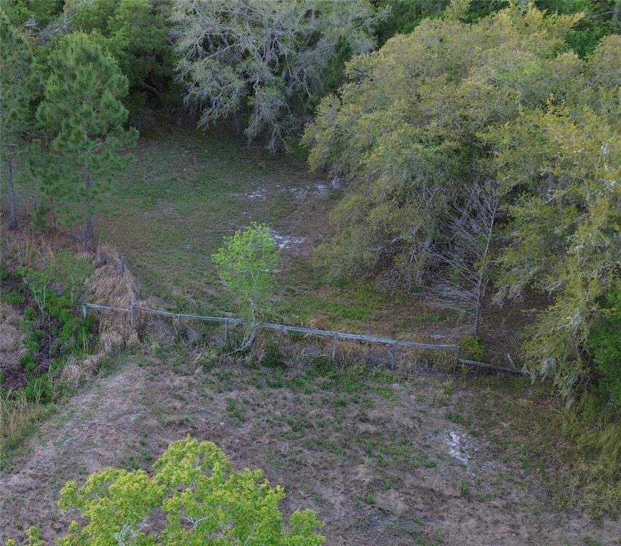 54523 Astor Transfer Station Road Astor, FL 32102 - Photo 23 of 31 a view of a yard
