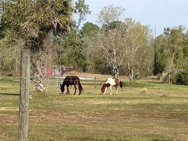 54523 Astor Transfer Station Road Astor, FL 32102 - Photo 28 of 31