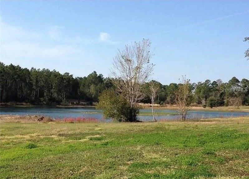 54523 Astor Transfer Station Road Astor, FL 32102 - Photo 29 of 31 a view of outdoor space with swimming pool and trees