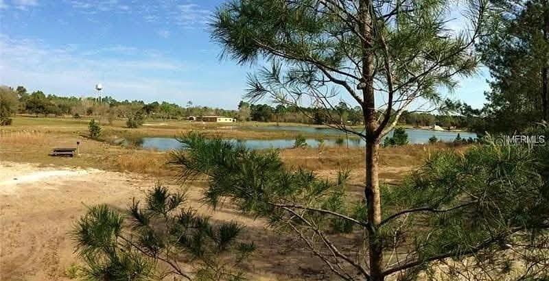 54523 Astor Transfer Station Road Astor, FL 32102 - Photo 30 of 31 a view of a lake with a yard