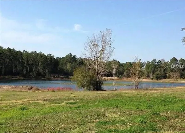 a view of outdoor space with swimming pool and trees