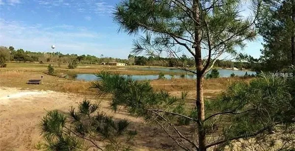 a view of a lake with a yard