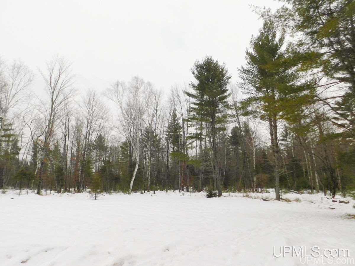 W2217 Cazzola Road Vulcan, MI 49892 - Photo 18 of 27