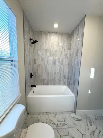 a bathroom with a toilet and a bathtub