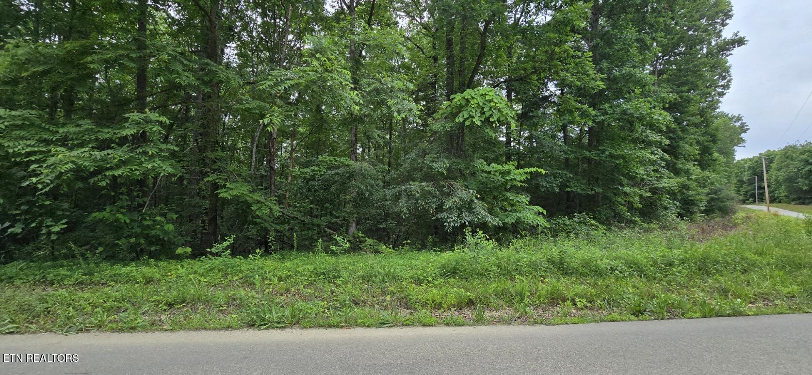 Lot 48-49 Bear Creek Road Oneida, TN 37841 - Photo 3 of 16 20260612_143444