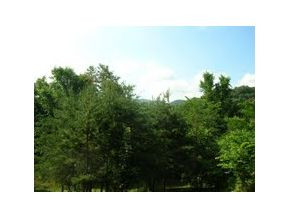 1911 Sinking Creek Road Johnson City, TN 37604 - Photo 4 of 10 Photo 6