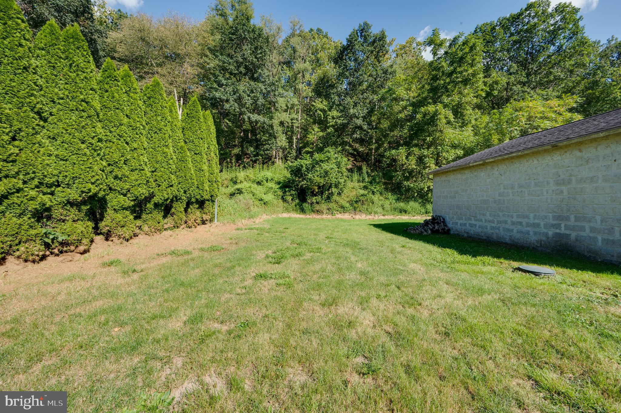 875 Mohrsville Road Shoemakersville, PA 19555 - Photo 9 of 34 a fire hydrant in the middle of a field