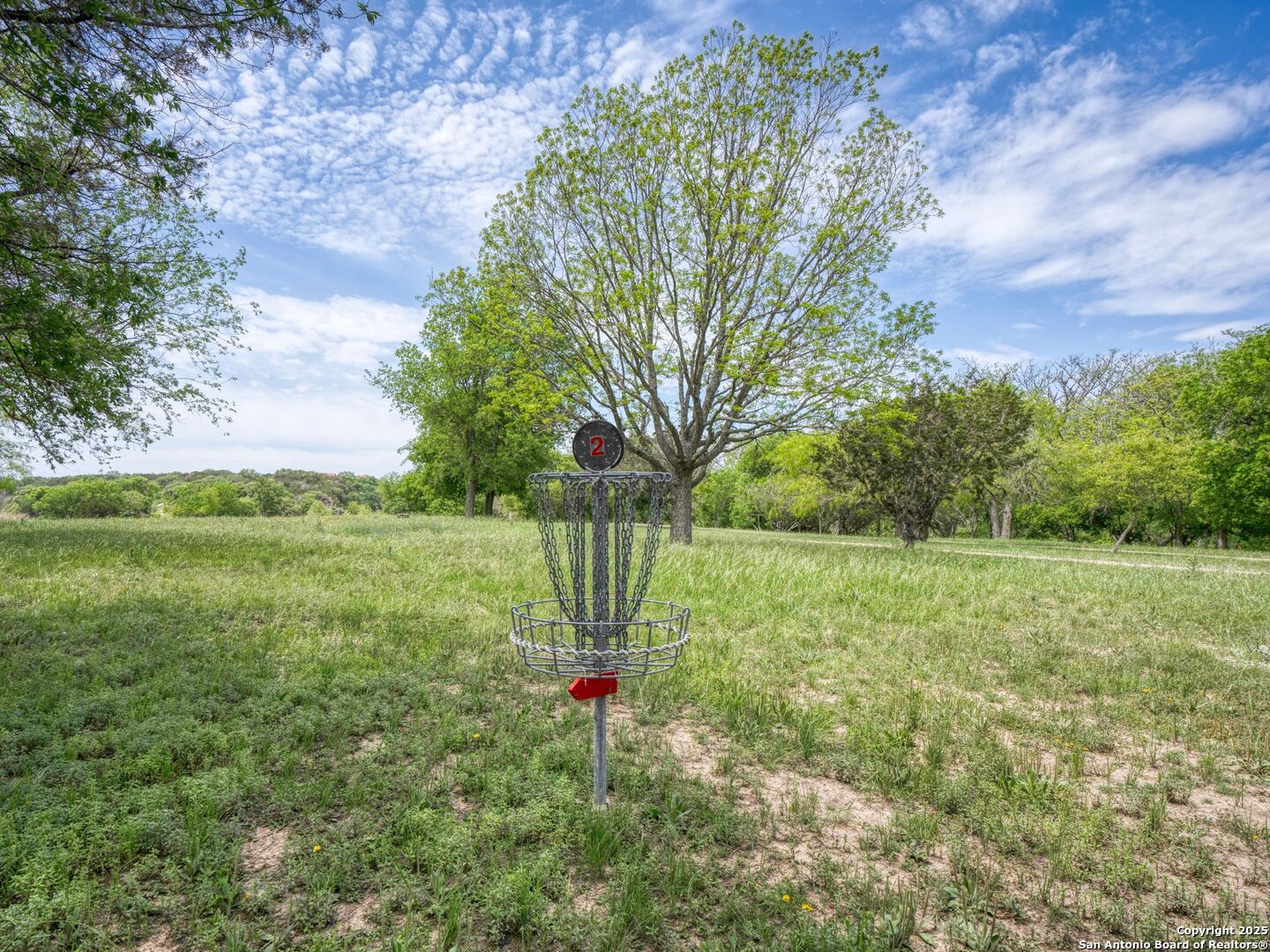 2835 Palomino Springs Bandera, TX 78003 - Photo 63 of 77 a view of a field with a tree