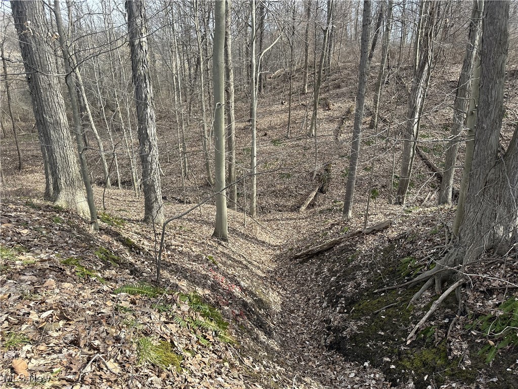 Vl Bainbridge Road Solon, OH 44139 - Photo 10 of 12 View of landscape