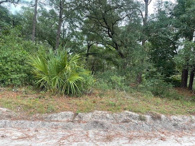 21 Withlachoochee Avenue Panacea, FL 32346 - Photo 5 of 9