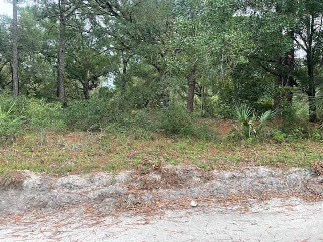 21 Withlachoochee Avenue Panacea, FL 32346 - Photo 6 of 9