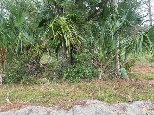 21 Withlachoochee Avenue Panacea, FL 32346 - Photo 7 of 9