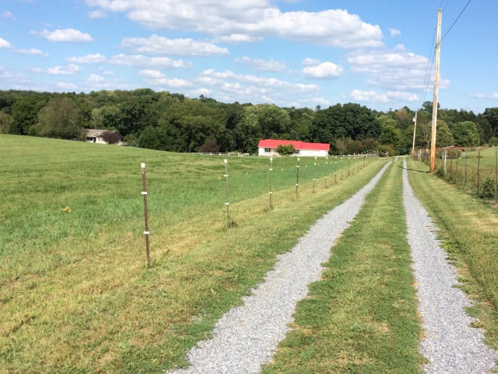 699 South Allens Bridge Road Greeneville, TN 37743 - Photo 5 of 18 Photo 5