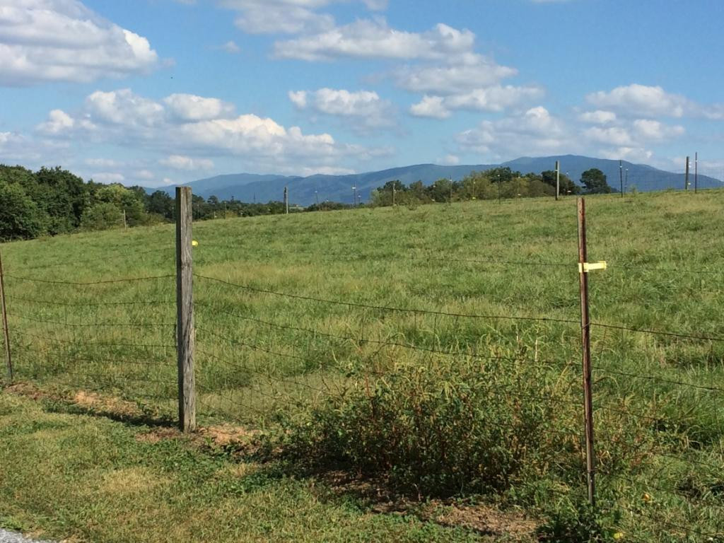699 South Allens Bridge Road Greeneville, TN 37743 - Photo 6 of 18 Photo 6