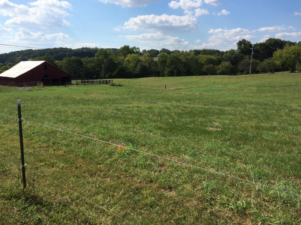 699 South Allens Bridge Road Greeneville, TN 37743 - Photo 7 of 18 Photo 7