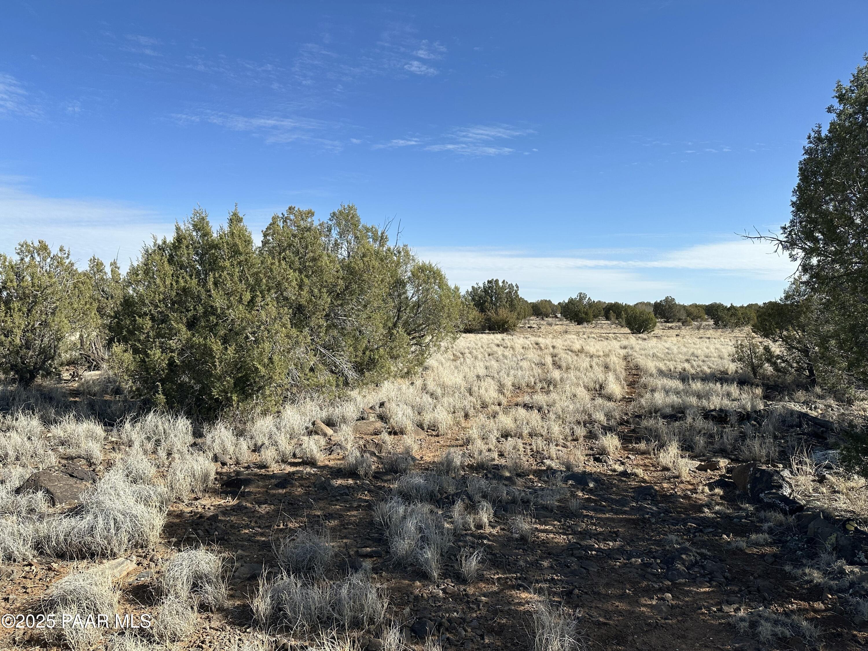116 Northeast Raging Crab Road Ash Fork, AZ 86320 - Photo 3 of 8 IMG_7663