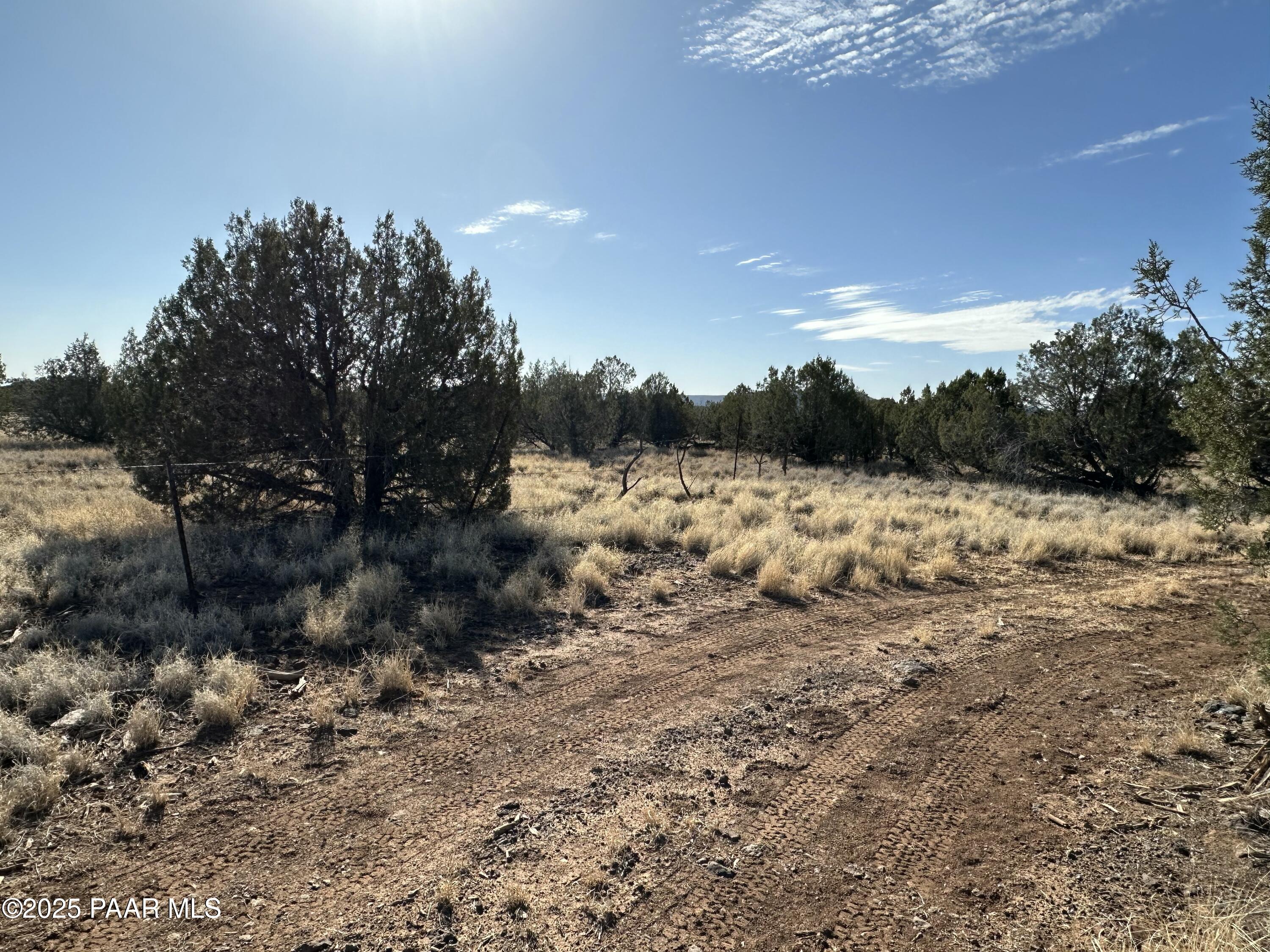 116 Northeast Raging Crab Road Ash Fork, AZ 86320 - Photo 4 of 8 IMG_7662