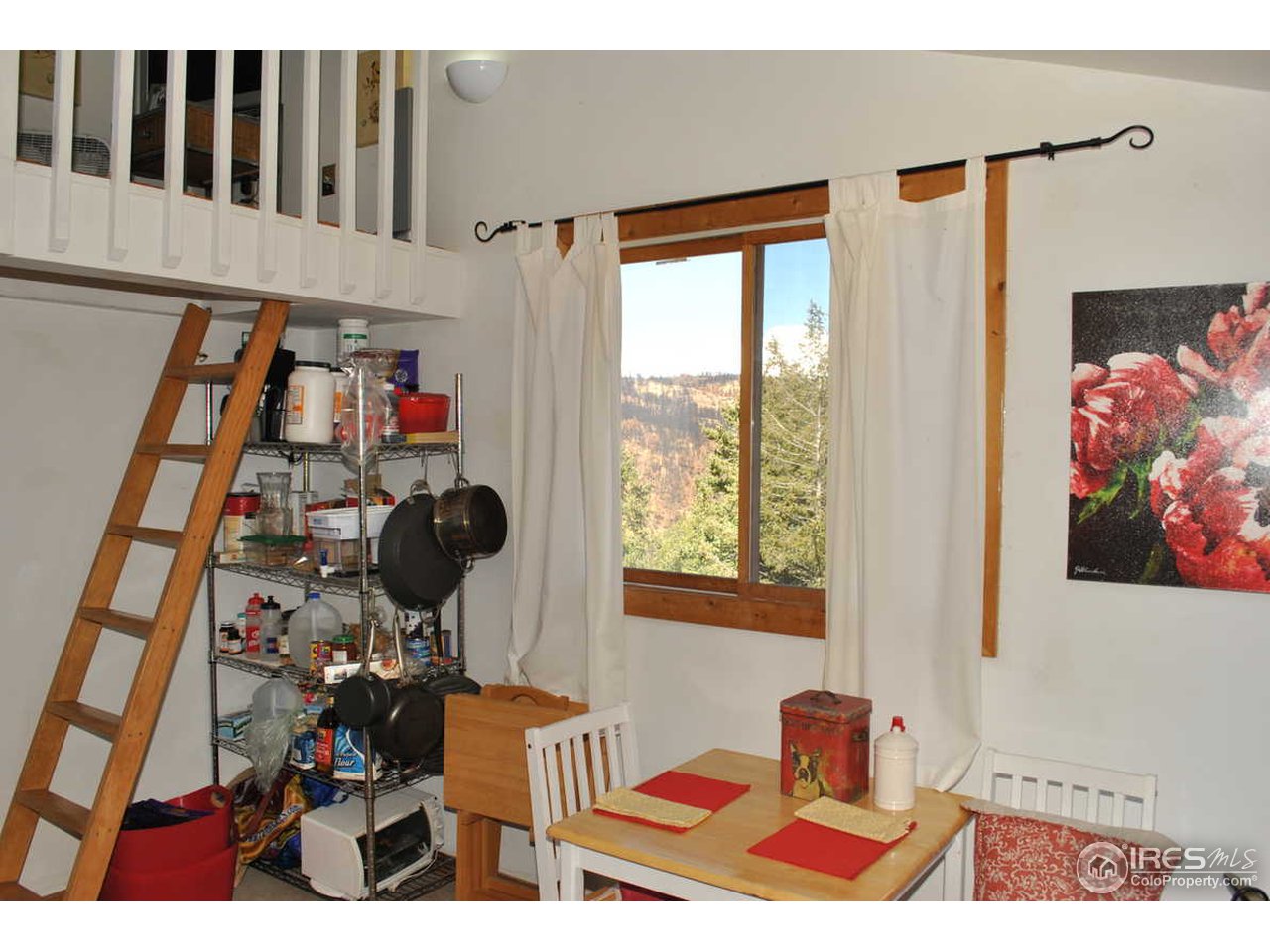 111 Alaska Road Boulder, CO 80302 - Photo 16 of 20 Gallery Image 16