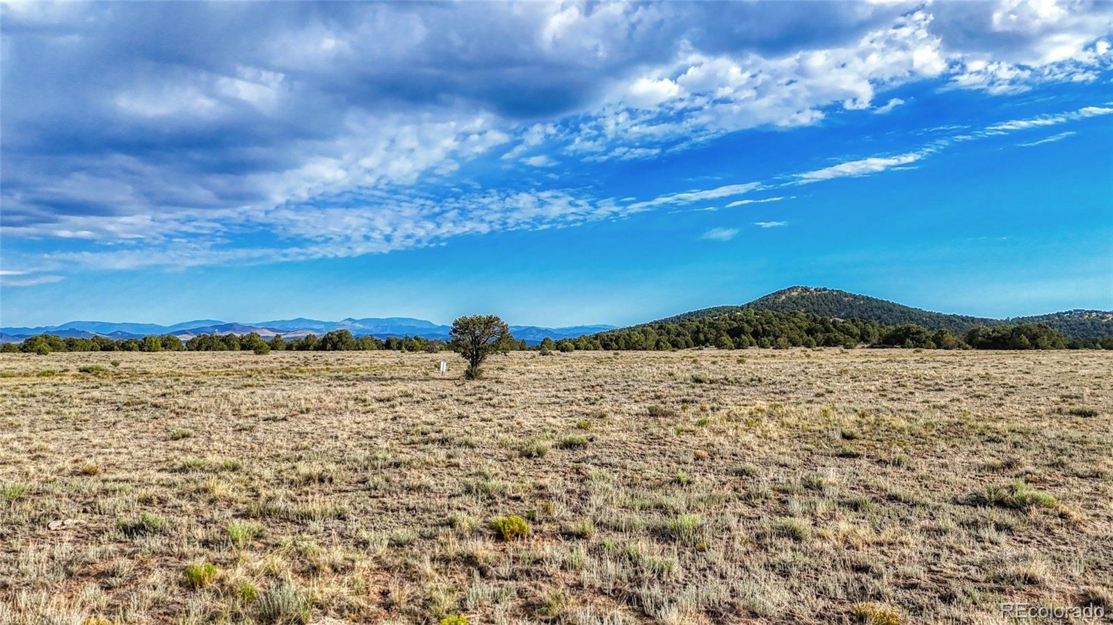 705 Riggs Road Westcliffe, CO 81252 - Photo 24 of 30 a view of a lake and mountain