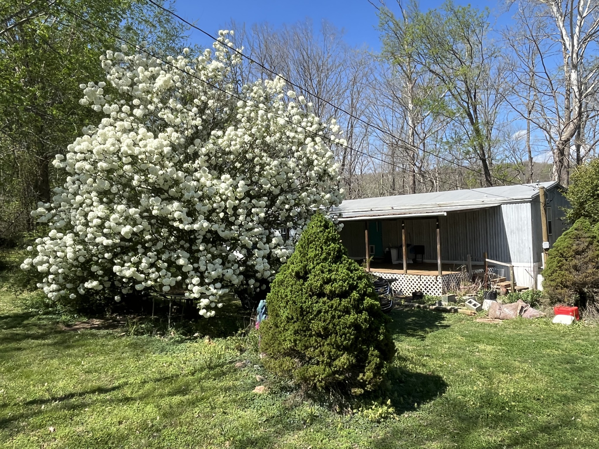 999 Kilburn Hollow Road Waynesboro, TN 38485 - Photo 28 of 61