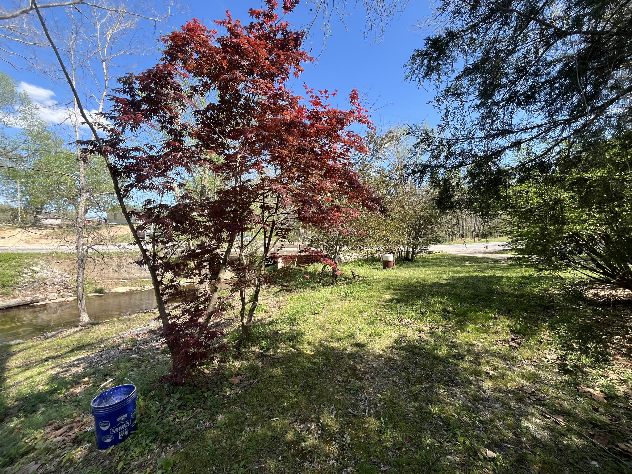 999 Kilburn Hollow Road Waynesboro, TN 38485 - Photo 35 of 61