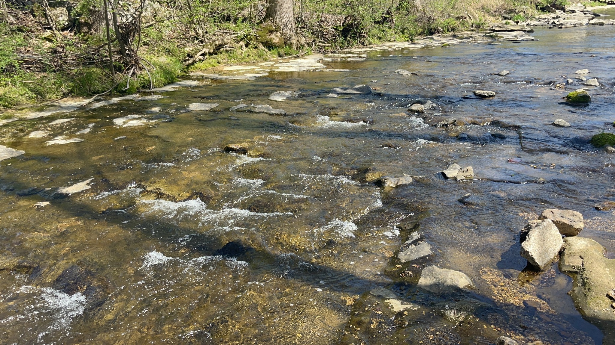 999 Kilburn Hollow Road Waynesboro, TN 38485 - Photo 39 of 61