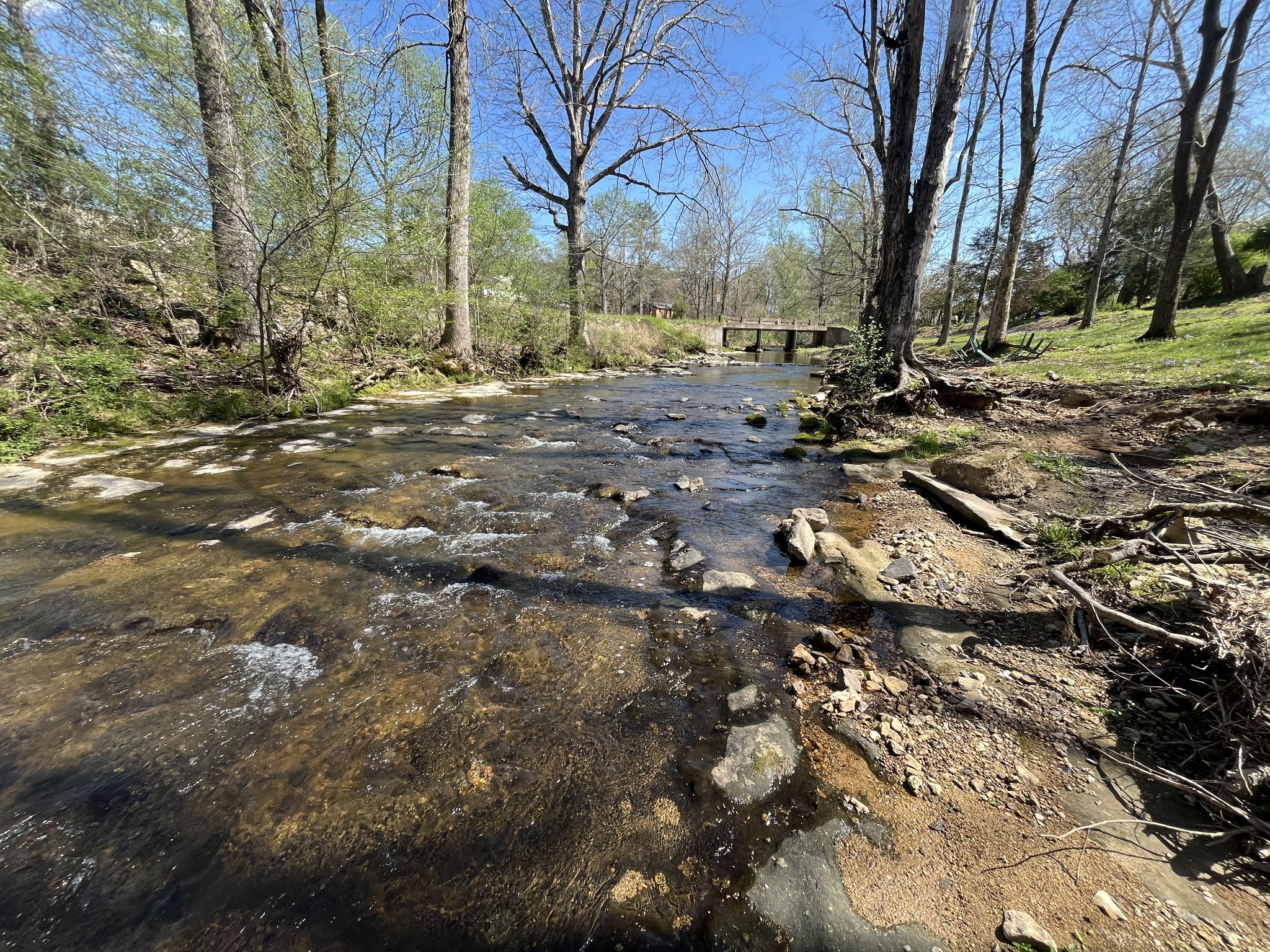 999 Kilburn Hollow Road Waynesboro, TN 38485 - Photo 40 of 61