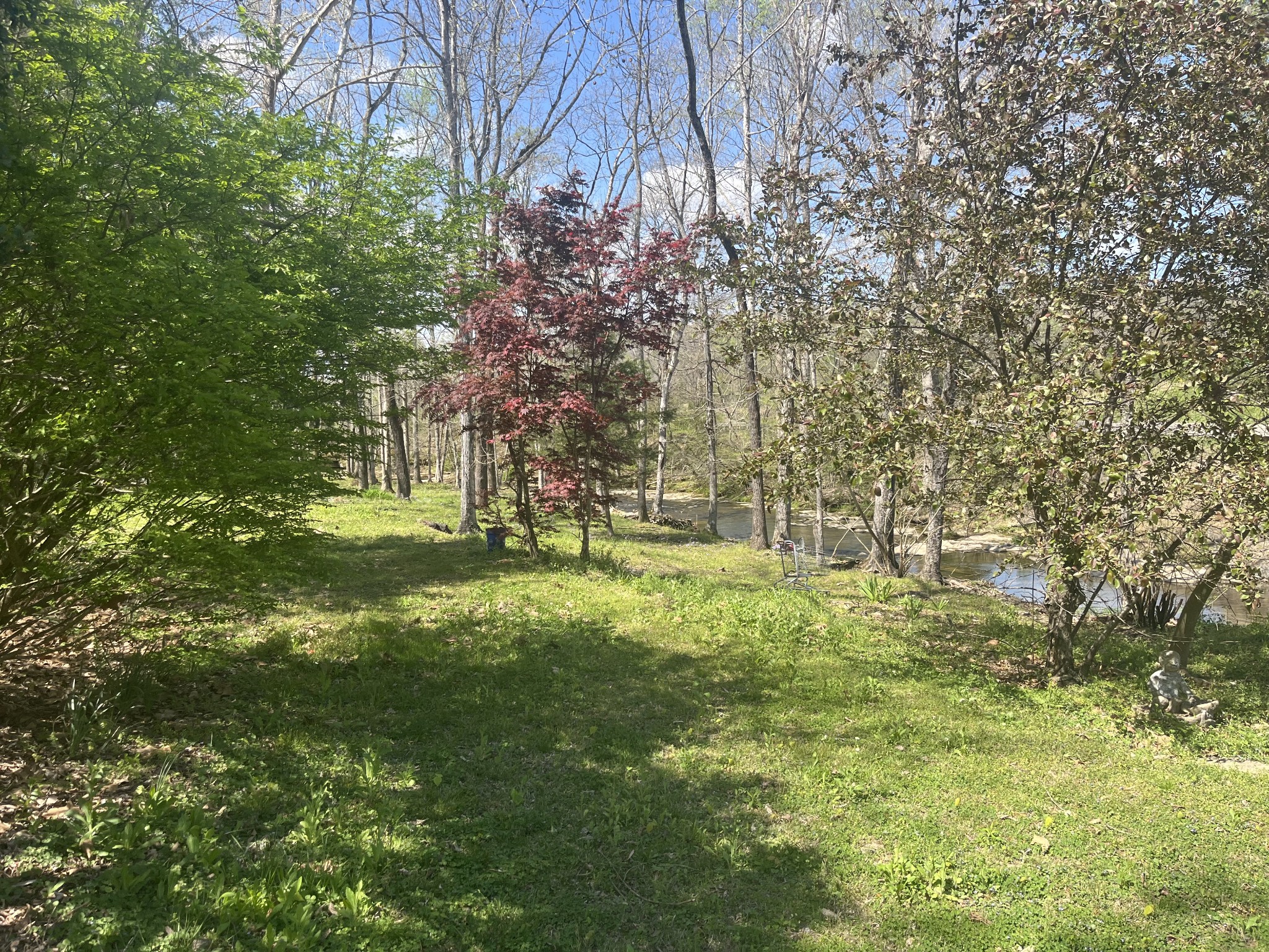 999 Kilburn Hollow Road Waynesboro, TN 38485 - Photo 46 of 61