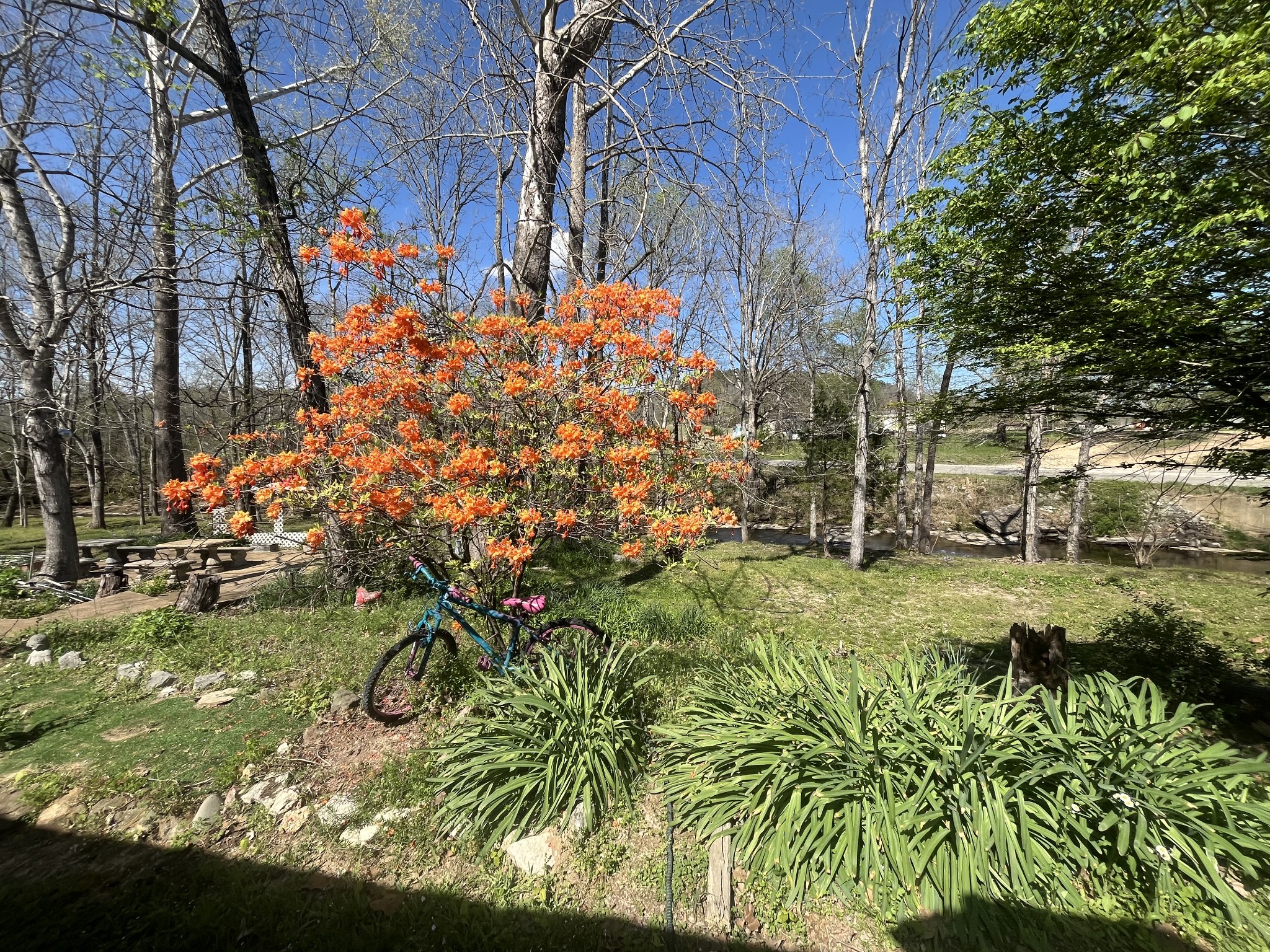 999 Kilburn Hollow Road Waynesboro, TN 38485 - Photo 53 of 61