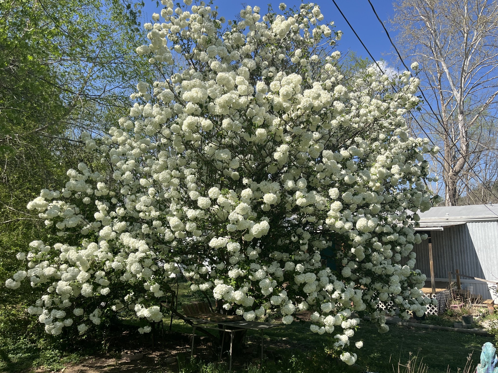999 Kilburn Hollow Road Waynesboro, TN 38485 - Photo 54 of 61