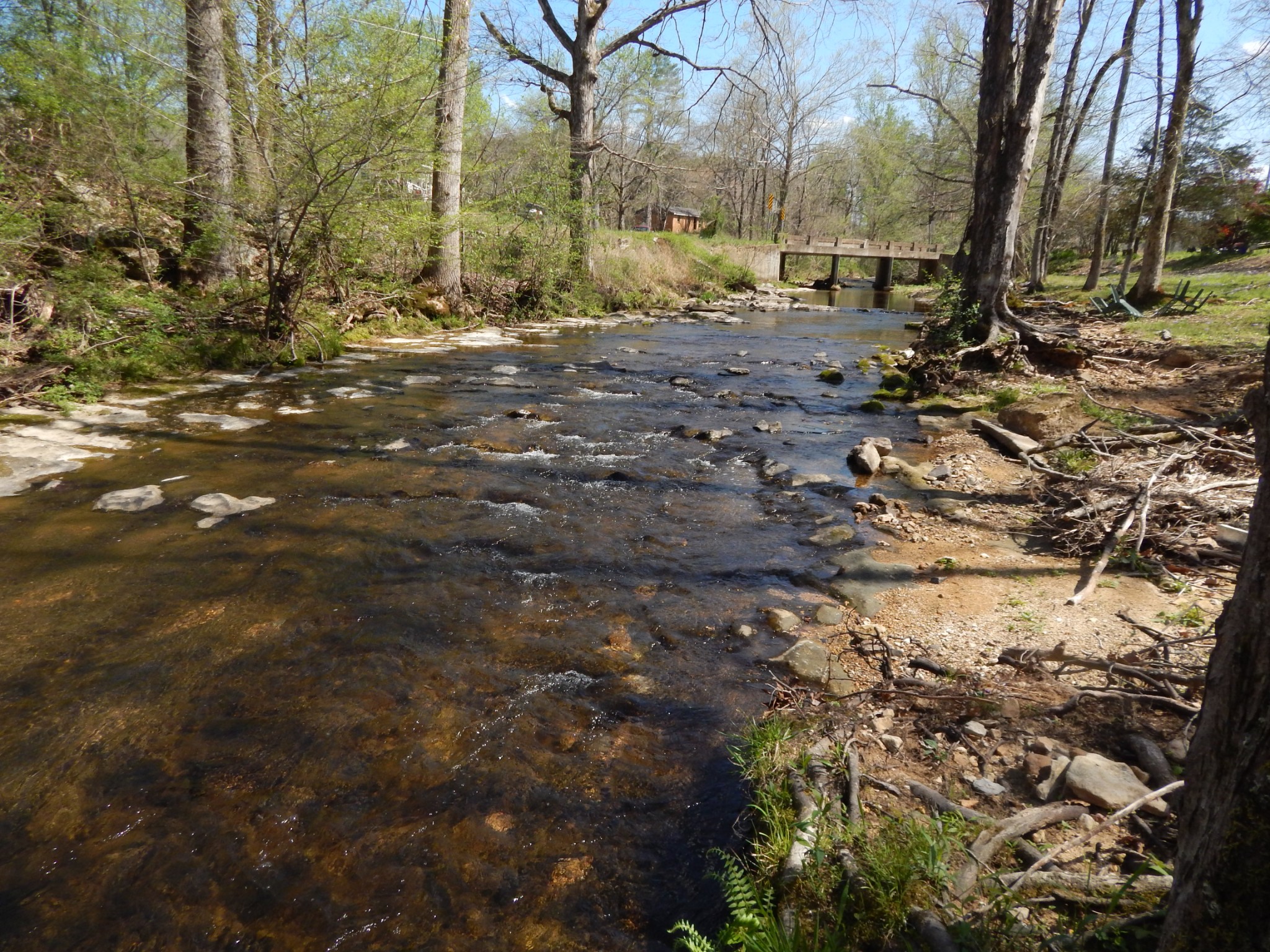999 Kilburn Hollow Road Waynesboro, TN 38485 - Photo 6 of 61